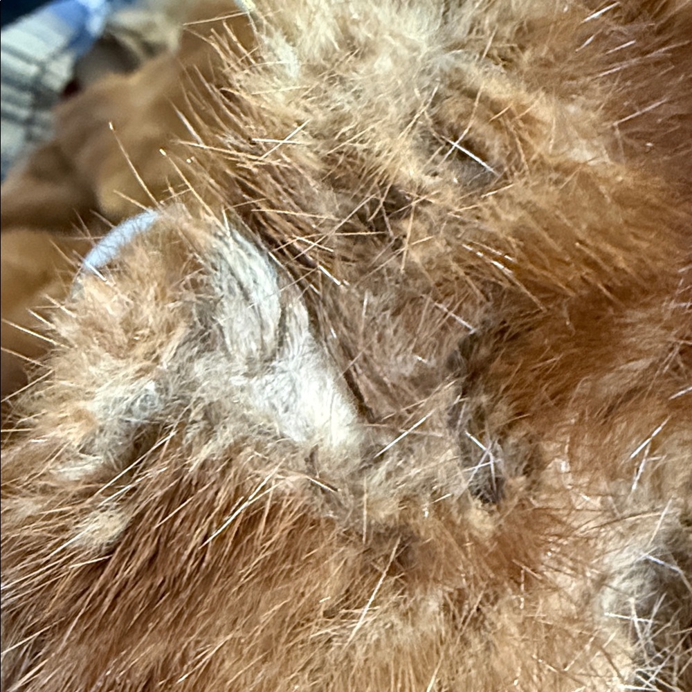 Vintage Mink Genuine Brown Fur Coat (Classic Mobwife) - Picture 10 of 13